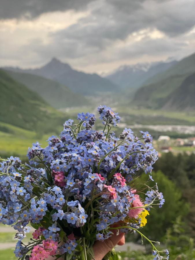 AURA Cottages Kazbegi Kültér fotó